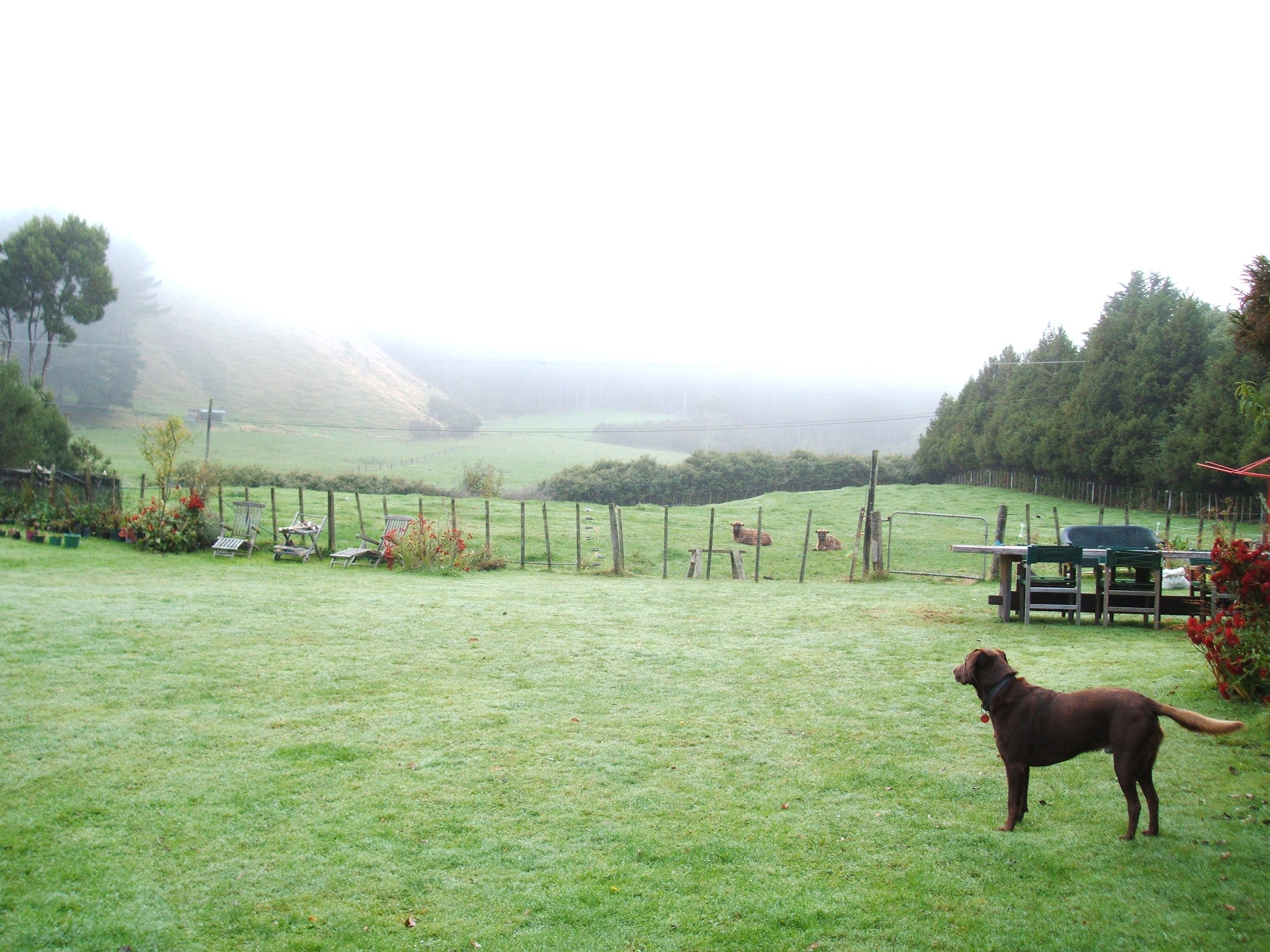 Mise au vert : wwoofing à Silverstream